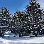 Lejlighed Masy En Pierre- Maisons De Charme- Caratteristico Con Tre E Due Bagni Champoluc